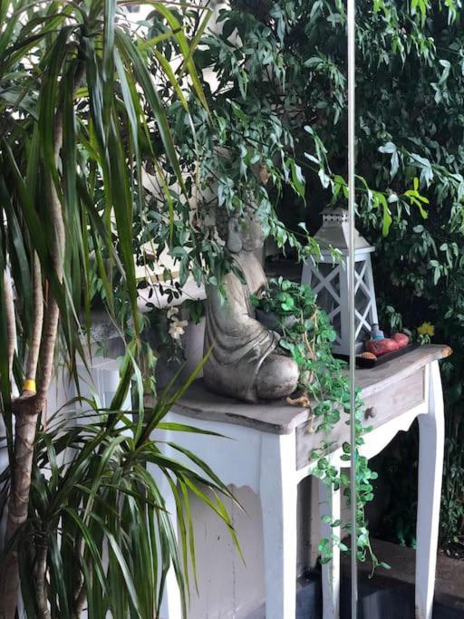 Favoloso Appartamento Roma Con Giardino Zewnętrze zdjęcie